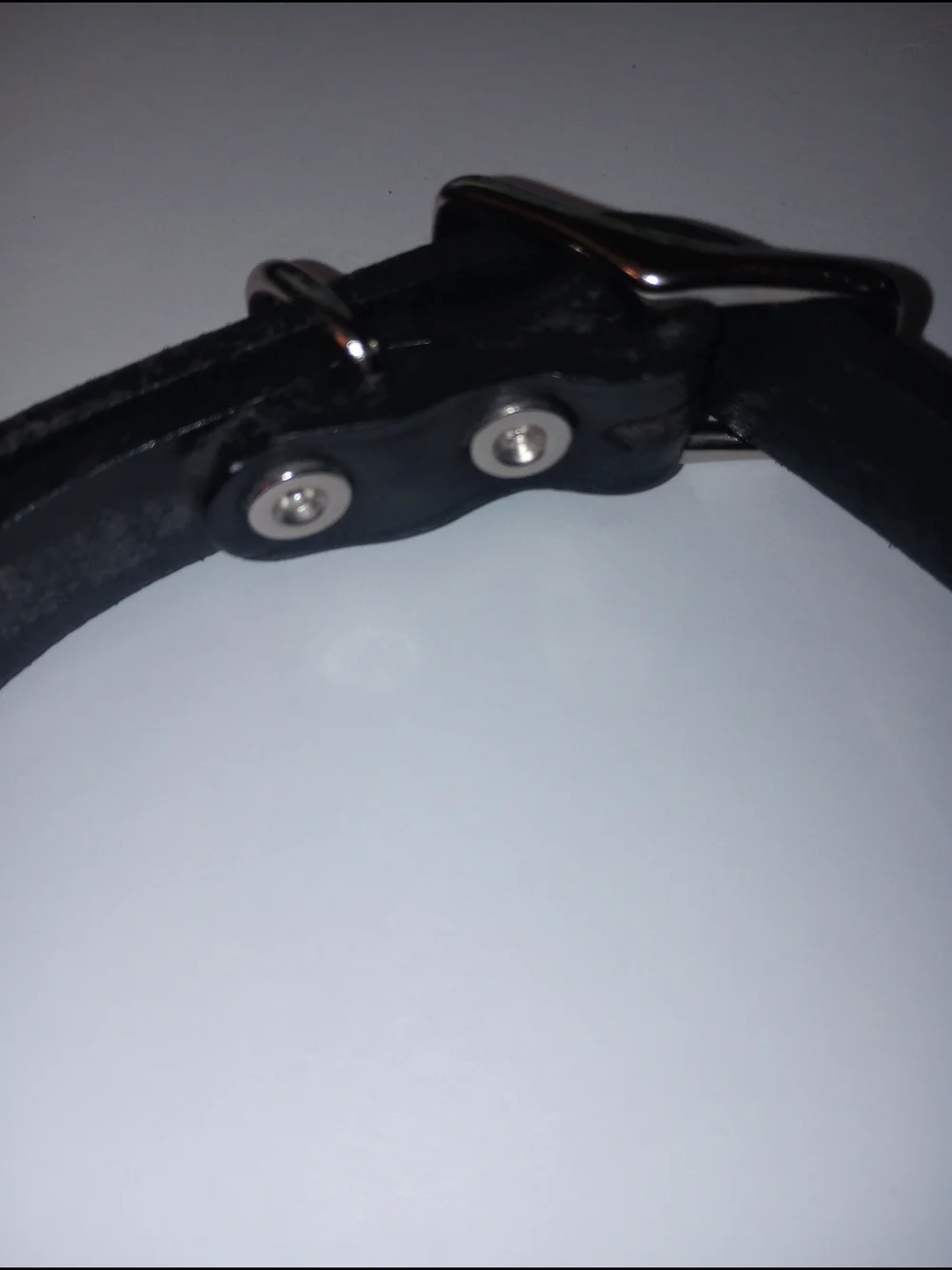 Black Spike Studded Leather Collar